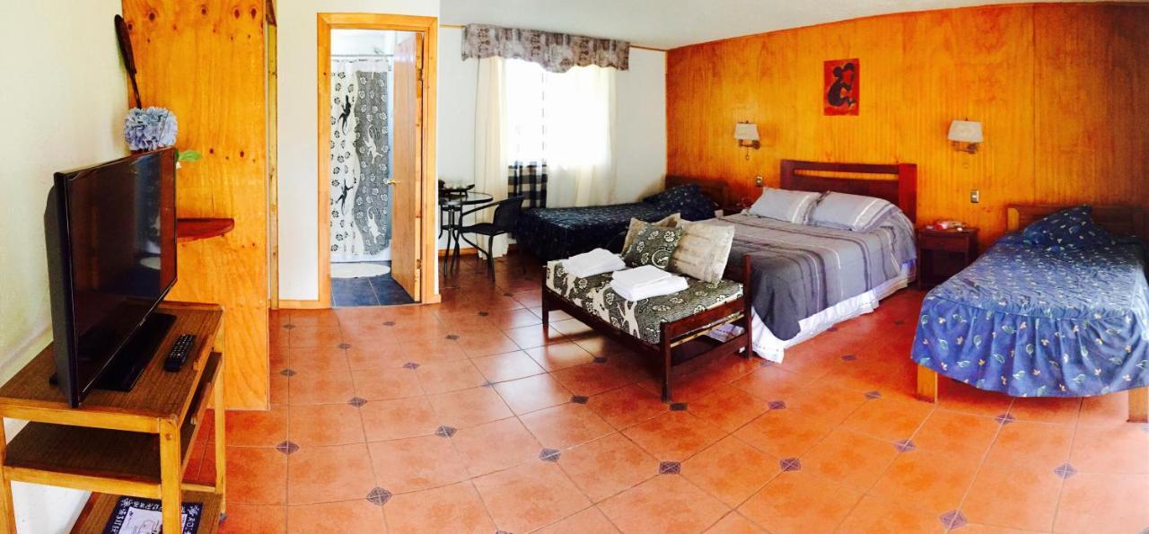 Hare PakoBa Guest House Hanga Roa Extérieur photo